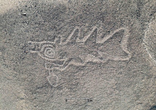 How AI is helping reveal South American's archaeological sites