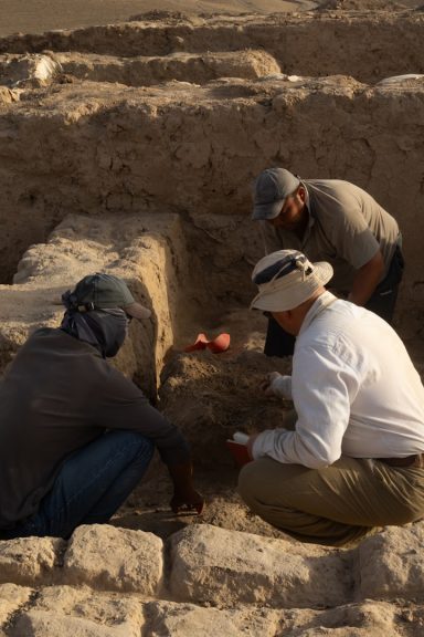 Archaeologists at work