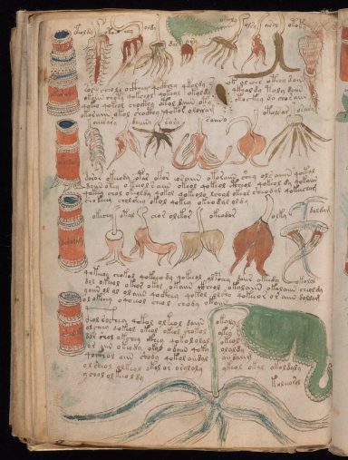The Voynich Manuscript revealed: five things you probably didn't know about the Medieval masterpiece