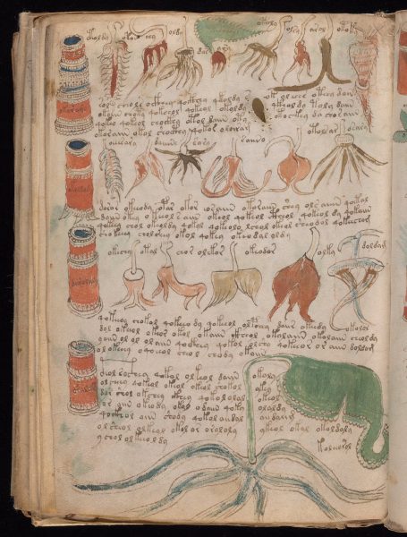 The Voynich Manuscript revealed: five things you probably didn't know about the Medieval masterpiece