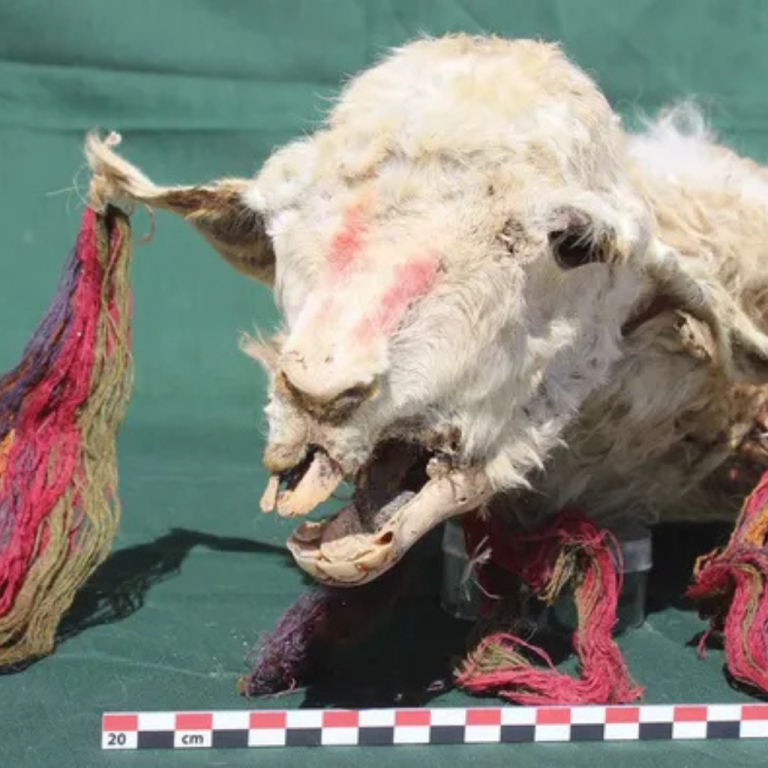 Man walks around he site of Cerro Quemado.