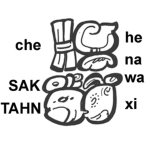 Mayan astronomer deciphered Attribution of the astronomer-mathematician “White-chested Fox”, using the phrase che-he-na followed by name spelled SAK-TAHN-wa-xi